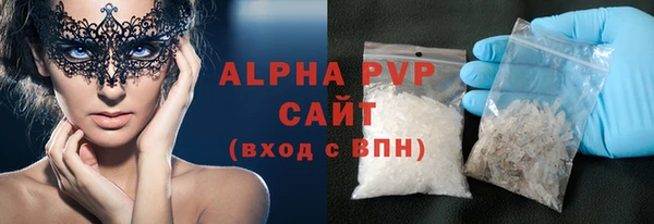 стаф Инта