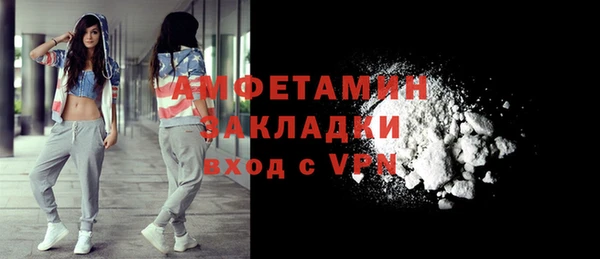 стаф Инта