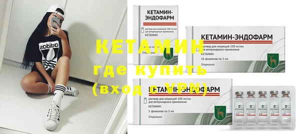стаф Инта