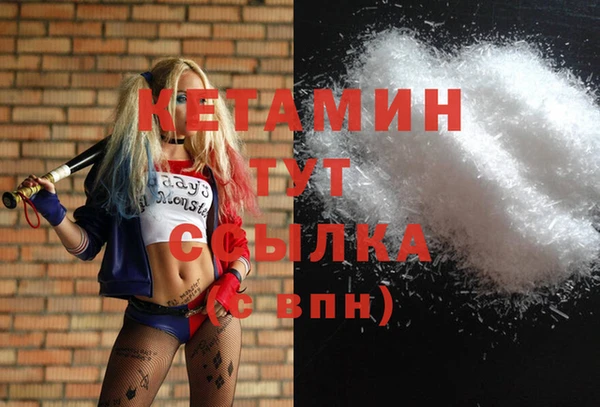 стаф Инта