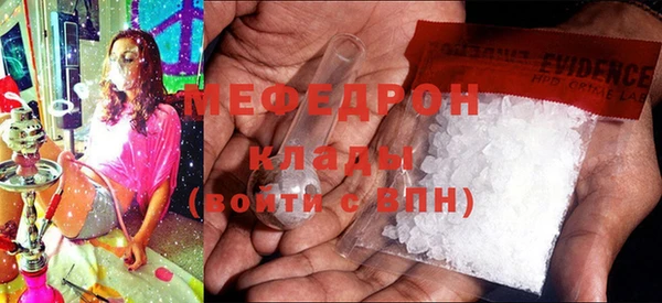 стаф Инта