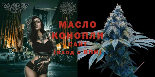 стаф Инта