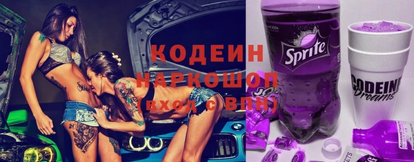 стаф Инта