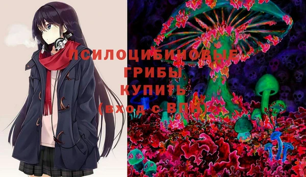 гидропоника Инсар